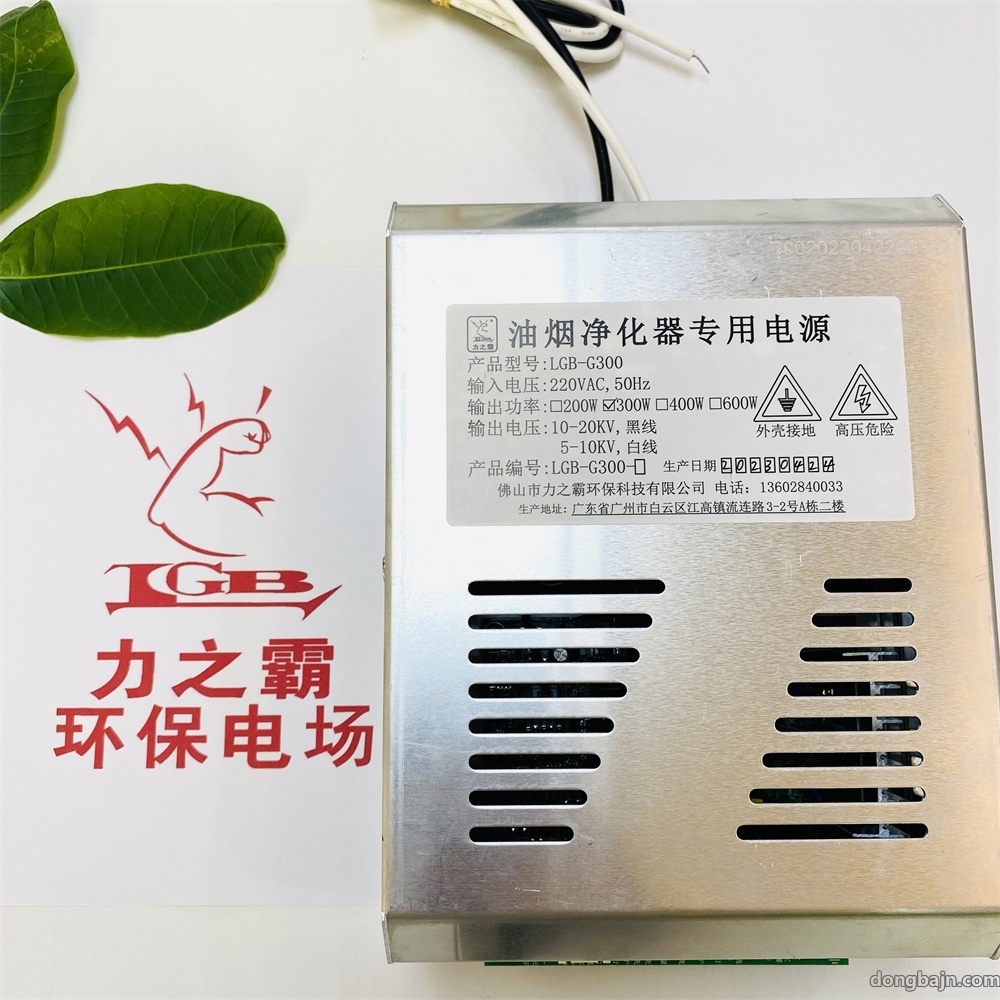 电场专用电源300W 400W 600W